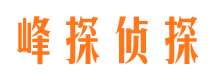 洛扎市婚外情调查